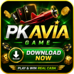PkAvia Game